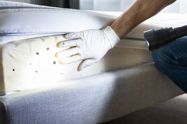 Best Commercial Pest Control Services  in Brownfields, LA