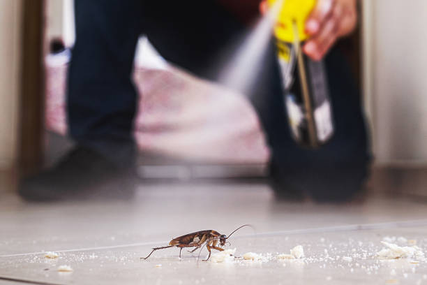 Brownfields, LA Pest Control Company