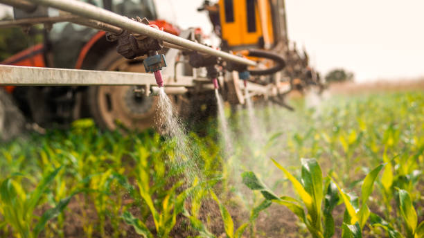 Best Mosquito Control Services  in Brownfields, LA